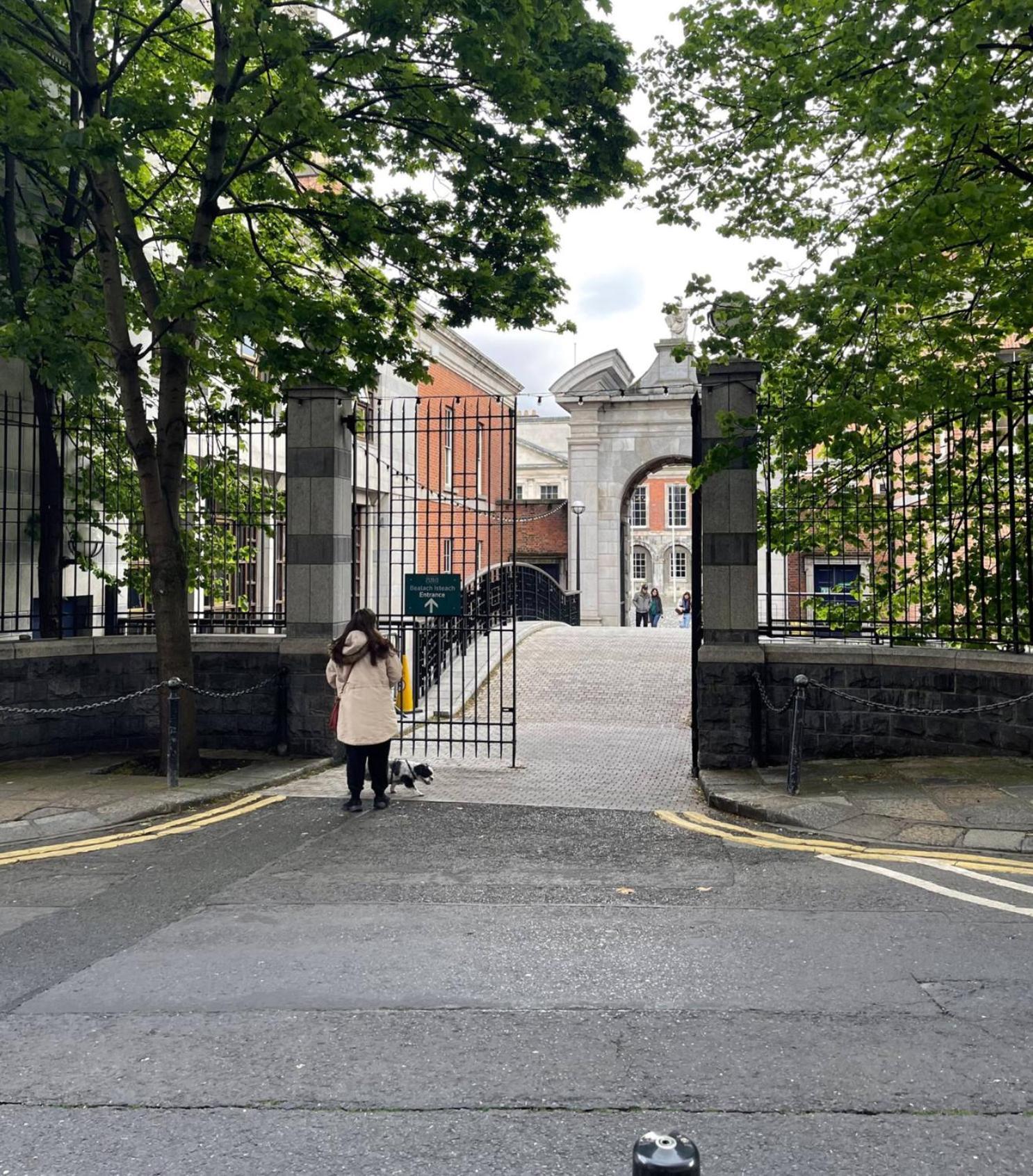 Castle Street * Dublino